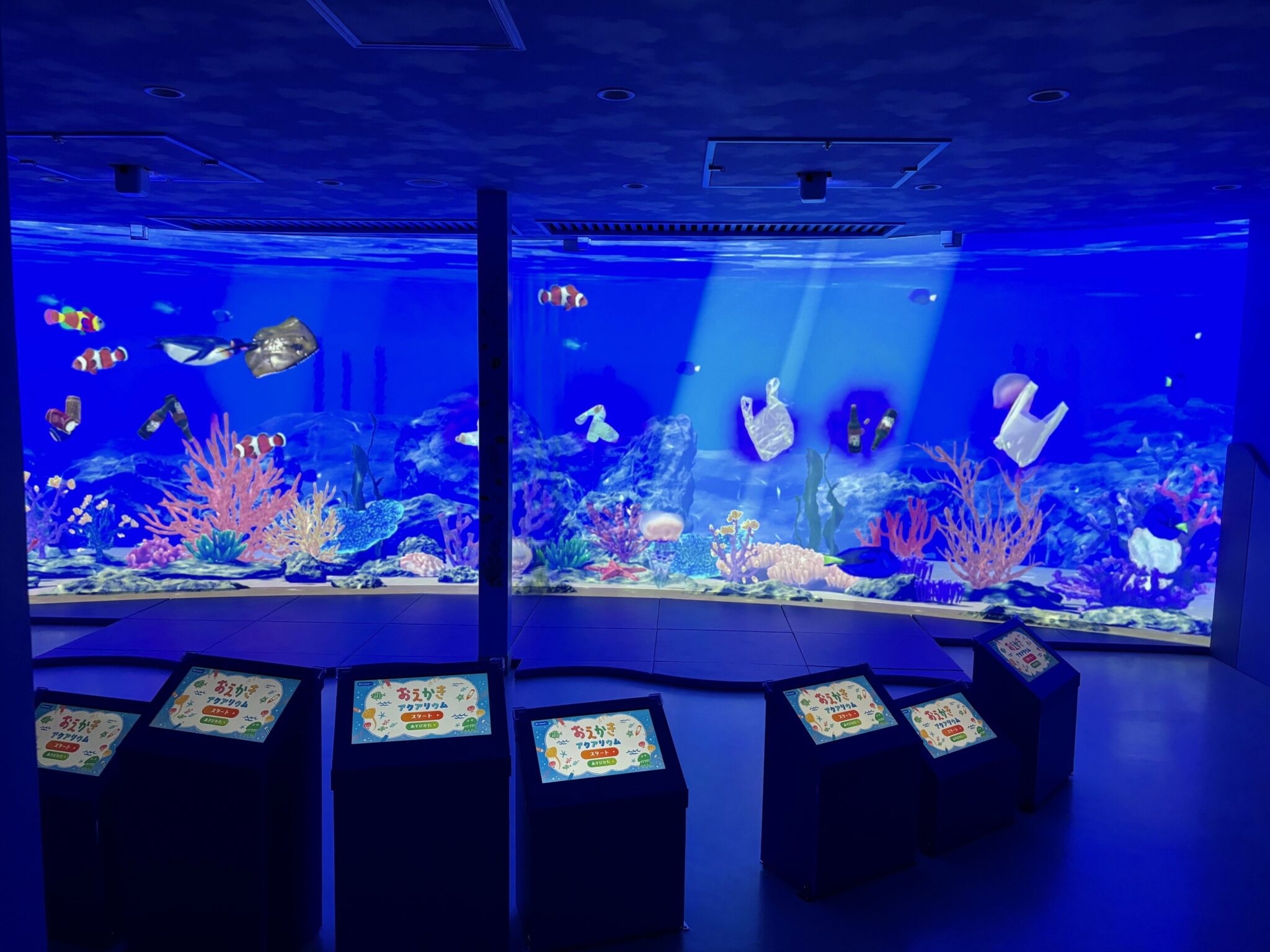 おえかきアクアリウム『ここうみ』 - 【公式】登別マリンパークニクス