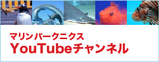 YoutubeChannel
